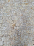 Pavé éclaté vielli 4.5 x 10 x 10